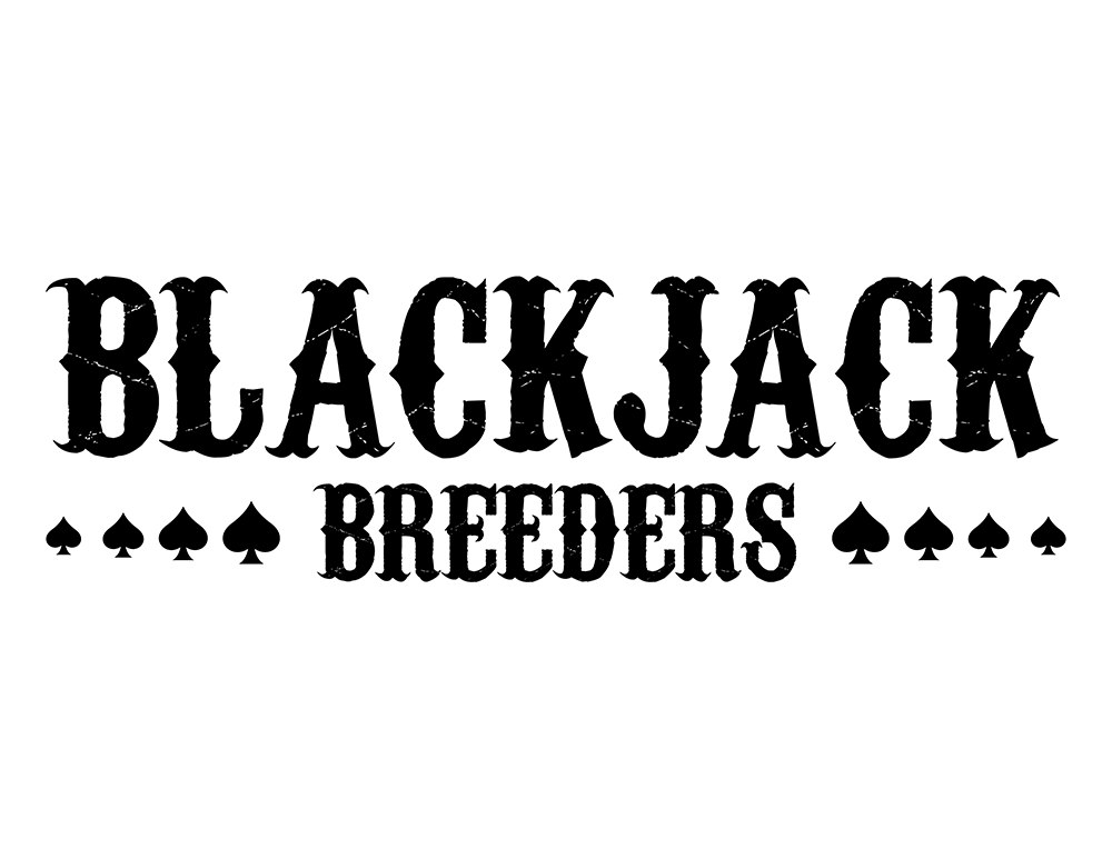 Blackjack Breeders